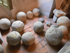 Captcha image 4169